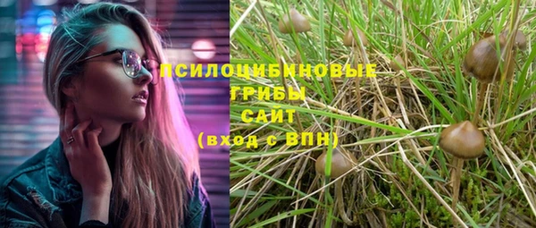 эйфоретик Краснослободск