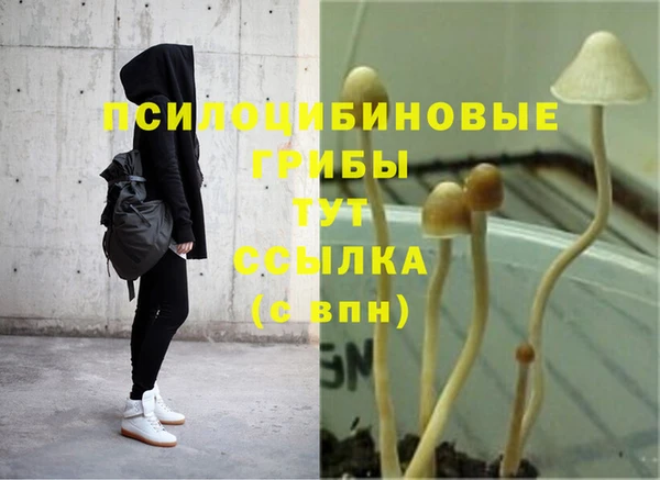 мдпв Краснотурьинск