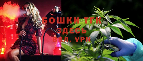 мдпв Краснотурьинск