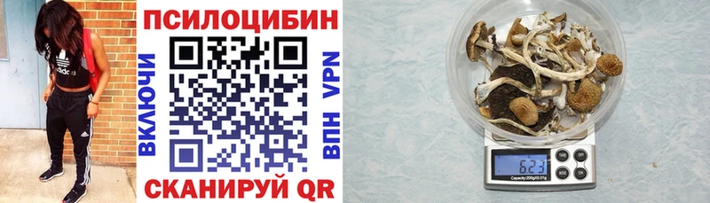 Галлюциногенные грибы мицелий  Купить где  Артёмовск 